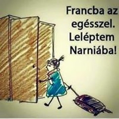 Anikó Patkó