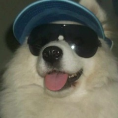 SHIBEGIRL