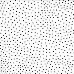 Félix Aquiles Salotto