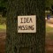 ideamissing