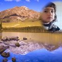ابراهيم العزوني