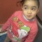 Hanan Elwrakey