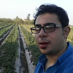Ahmed Helmy