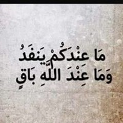 Mohamed metwally
