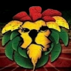 TheDjChorlo Collection Reggae