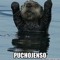 Gerardo Madrid