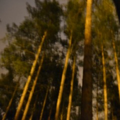 När Vi Går Sönder Inuti