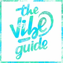 THE VIBE GUIDE