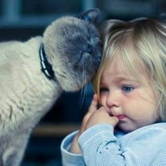 Abeer Samir