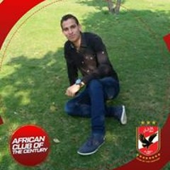 Alaa Ali