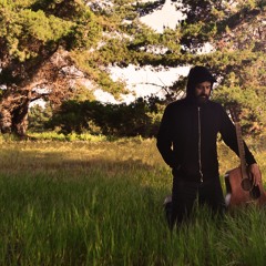 Poder Elegir - (Los Prisioneros -versión de Gato Extranjero + MP)