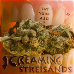 Screaming Streisand's