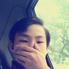 杨杨
