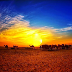 Std. Shaddaad 'Abdî An-Nahl Mas'oud**