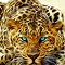 Cammander tiger