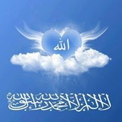 محمد محمد الحداد