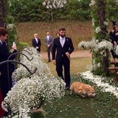 Daniel Maia de Freitas