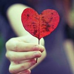 user536041198