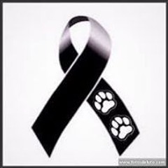 Edwin Patricio Velasquez