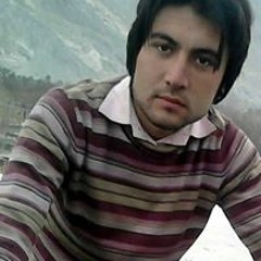 shauakat Aly