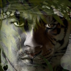 শুধু স্মৃতিময় গান