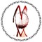 MarianneWilhelmsson
