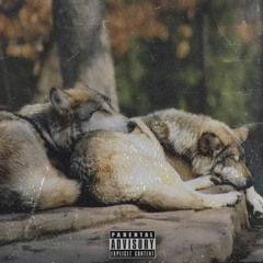 Los Lobos Collective