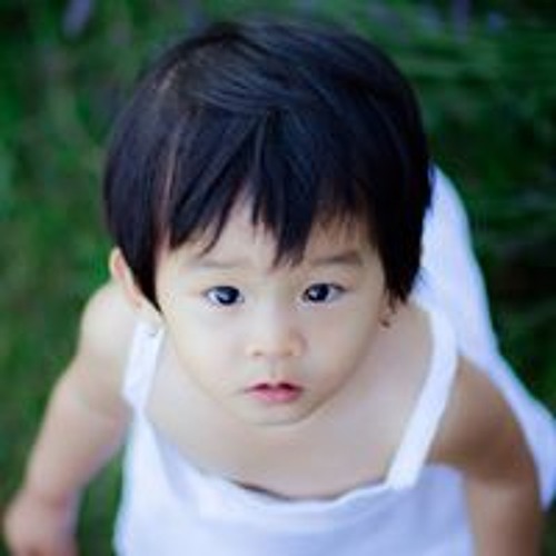 Niem Nguyen’s avatar