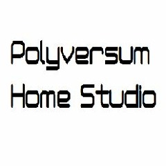 Polyversum Home Studio