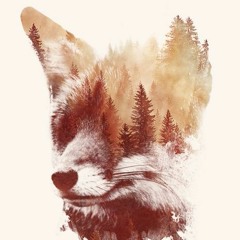 Aaron Wernerbrothers