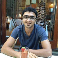 Mahmoud Badavi