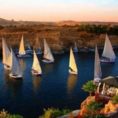 سيد الاسوانى