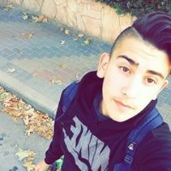 גל שור