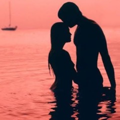 محمود المدني