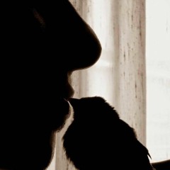 Giannis Koundourakis