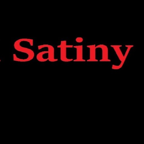Daniel Satiny’s avatar