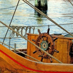 steuerfrau