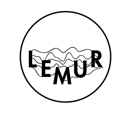 the lemurs’s avatar
