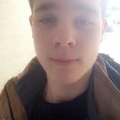 Steven Picavet Moustique