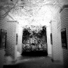 Animal Within (Demo)