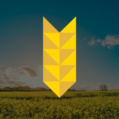 Grain Comments 23.07.2025