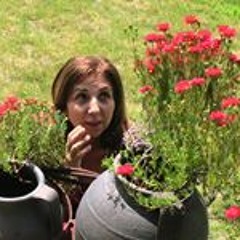 Maria De Magalhães Neves