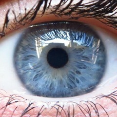 Fangirl vom Dienst a. R.