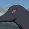 RAVEN-$AN