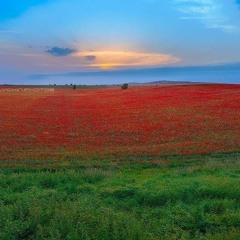 Faiq Agayev - Sen Ele Bilirdin