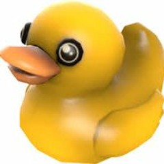 user257664219