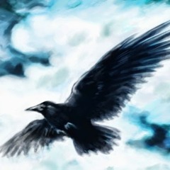 BlackRaven 01