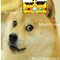 TheDogeLord