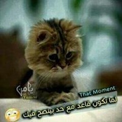 Eem Mano