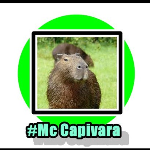 Stream Capivara Agiota  Listen to music playlists online for free on  SoundCloud